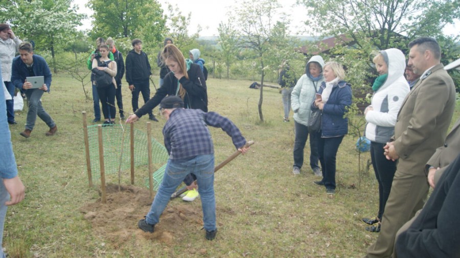 Fot. Gmina Górzyca